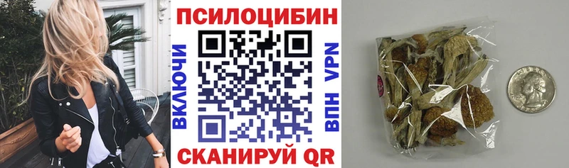 наркота  Любим  Галлюциногенные грибы Psilocybe 